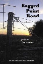 Ragged Point Road: Poems - Joe Wilkins