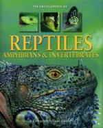 Encyclopedia Of Reptiles, Amphibians & Invertebrates A Complete Visual Guide - Noel Tait