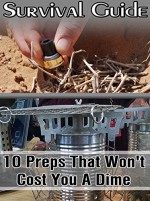 Prepper's Survival Guide: 10 Preps That Won't Cost You A Dime!: (Prepping, Survival Skills) (How to Survive Book) - Steven Gray