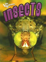 Insects - Janice Parker