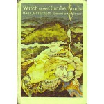 Witch Of The Cumberlands - Mary Jo Stephens