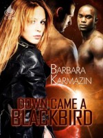 Down Came a Blackbird - Barbara Karmazin