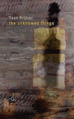 The Unknowed Things - Sean Brijbasi