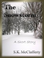 The Snowstorm - S. K. McClafferty