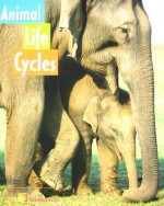 Animal Life Cycles - Susan DeStefano