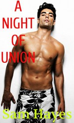 A Night Of Union (Taboo, Gay, Forbidden) - Sam Hayes