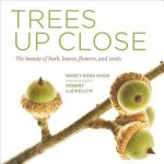 Trees Up Close: The Beauty of Their Bark, Leaves, Flowers, and Seeds - Nancy Ross Hugo, Robert Llewellyn