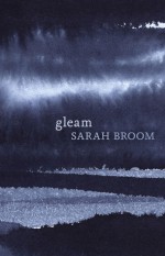 Gleam - Sarah Broom