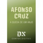 A Queda De Um Anjo - Afonso Cruz