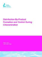 Disinfection By-Product Formation and Control During Chloramination - Gerald E. Speitel Jr., P. Pope, M. Collins, M. Martin-doole