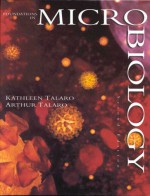 Foundations in Microbiology : Student Study Art Notebook - Kathleen Park Talaro, Arthur Talaro