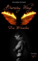 Burning Wings (1) - Das Erwachen (German Edition) - Annette Eickert