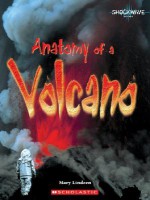 Anatomy of a Volcano - Mary Lindeen