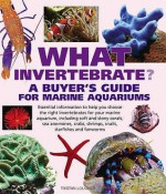 What Invertebrate? - Tristan Lougher