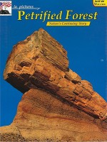 in pictures Petrified Forest: The Continuing Story - Lori and Carl Bowman, Carl Bowman, Yvon Le Bras