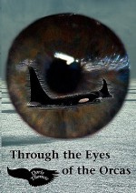 Through the Eyes of the Orcas - Doris Thomas