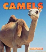 Camels - Kathryn Stevens