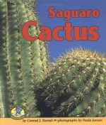 Saguaro Cactus - Conrad J. Storad