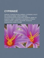 Cyprinide: Gardon, Poisson Rouge, Barbus, Cyprinidae, Mulet, Koi, Poisson Zebre, Carpe Commune, Hypophthalmichthys Molitrix, Rasbora, Barbu de Sumatra, Labeo, Carassius Carassius, Cyprinus Carpio Carpio, Vairon, Chevesne - Source Wikipedia, Livres Groupe