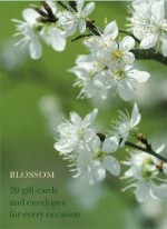 Blossom Large Card Box - Anness Publishing