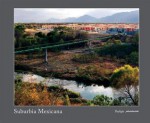 Alejandro Cartagena: Suburbia Mexicana - Lisa Uddin, Alejandro Cartagena, Karen Irvine