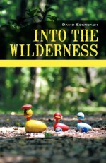 Into the Wilderness - David Ebenbach