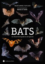 Bats - Marianne Taylor