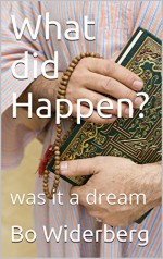 What did Happen?: was it a dream - Bo Widerberg