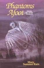 Phantoms Afoot: Helping the Spirits Among Us (No-Eyes) - Mary Summer Rain