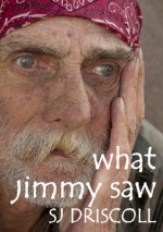 What Jimmy Saw - Sally Jane Driscoll