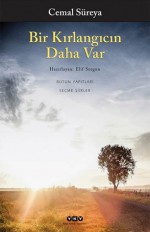 Bir Kırlangıcın Daha Var - Cemal Süreya