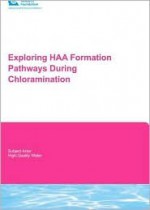 Exploring Haa Formation Pathways During Chloramination - Tanju Karanfil, Hong Ying, Hocheol Song, Olivia Orr