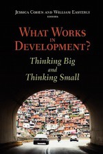 What Works in Development?: Thinking Big and Thinking Small - Jessica Cohen