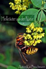 Heilkräuter aus der Natur (German Edition) - Kai Bruchmann