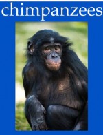 Chimpanzee Pictures and Fun Facts - Chris Sharp