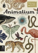 Animalium (Welcome to the Museum) - Jenny Broom, Jenny Broom, Katie Scott