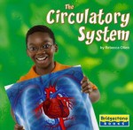 The Circulatory System - Rebecca Olien