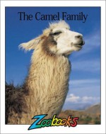 Camels (Zoobooks Series) - John Bonnett Wexo, Richard Orr, Anne Innis Dagg