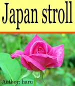 Japan stroll - haru