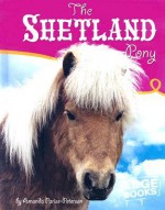 The Shetland Pony - Amanda Parise-Peterson