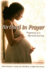 Birthed in Prayer: Pregnancy as a Spiritual Journey - Kim Barker