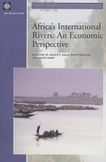 Africa's International Rivers: An Economic Perspective - Percy Deift, Dale Whittington, David Grey