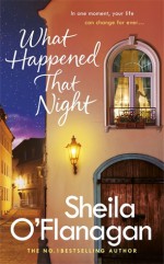 What Happened That Night - Sheila O'Flanagan