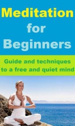 Meditation for Beginners - Guide and techniques to a free & quiet mind - Jason Moore