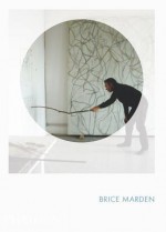 Brice Marden: Phaidon Focus - Eileen Costello