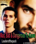 Mad, Bad & Dangerous To Know - Leaderofthepack