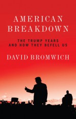 American Breakdown - David Bromwich