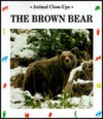 The Brown Bear - Valerie Tracqui