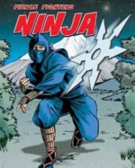 Ninja - Charlotte Guillain