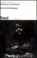 Black Experience: Soul - Lee Rainwater